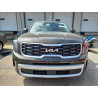 2025 KIA TELLURIDE 5XYP64GC7SG569834 60002555