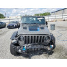 2022 JEEP WRANGLER 1C4JJXR69NW206276 55247595