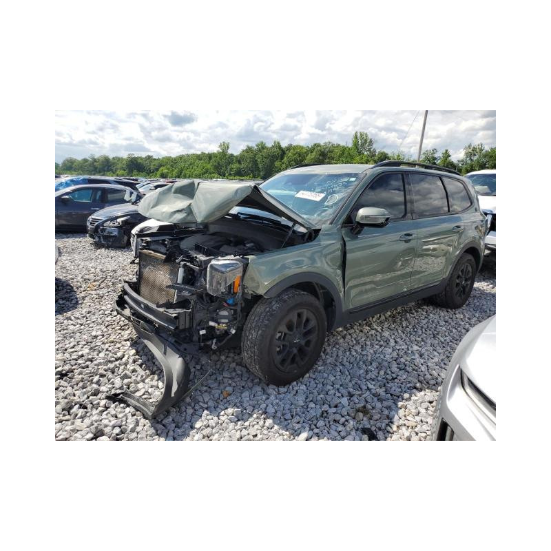2024 KIA TELLURIDE 5XYP5DGC9RG423920 54176455