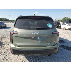 2024 KIA TELLURIDE 5XYP5DGC9RG423920 54176455