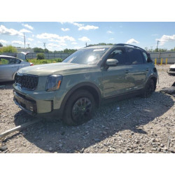 2024 KIA TELLURIDE 5XYP5DGC5RG502937 55226235