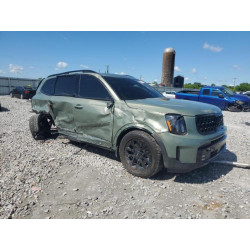 2024 KIA TELLURIDE 5XYP5DGC5RG502937 55226235