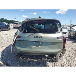 2024 KIA TELLURIDE 5XYP5DGC5RG502937 55226235