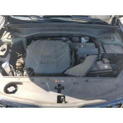 2024 KIA TELLURIDE 5XYP5DGC5RG502937 55226235