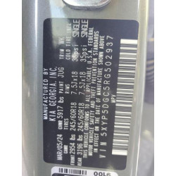 2024 KIA TELLURIDE 5XYP5DGC5RG502937 55226235