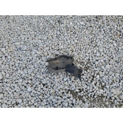2020 CHEVROLET CAMARO 1G1FF1R76L0148939 51608205