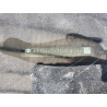 2025 TOYOTA CAMRY 4T1DAACK3SU595547 56097065