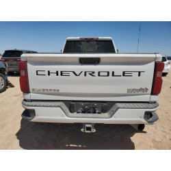 2024 CHEVROLET ALL Models 1GC4YVEY8RF253972 53496655