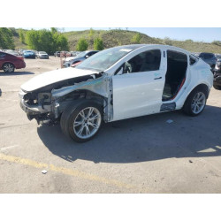 2023 TESLA MODEL Y 7SAYGDEE4PF610363 56742875