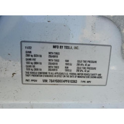 2023 TESLA MODEL Y 7SAYGDEE4PF610363 56742875