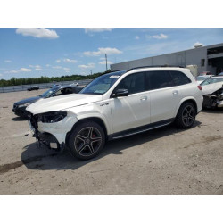 2023 MERCEDES-BENZ GLS-CLASS 4JGFF8GE9PA948910 61359335