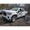 2021 GMC SIERRA 1GTP9AEH0MZ339710 53333905