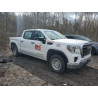 2021 GMC SIERRA 1GTP9AEH0MZ339710 53333905