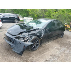2025 TESLA MODEL 3 5YJ3E1EB6SF923974 57059495