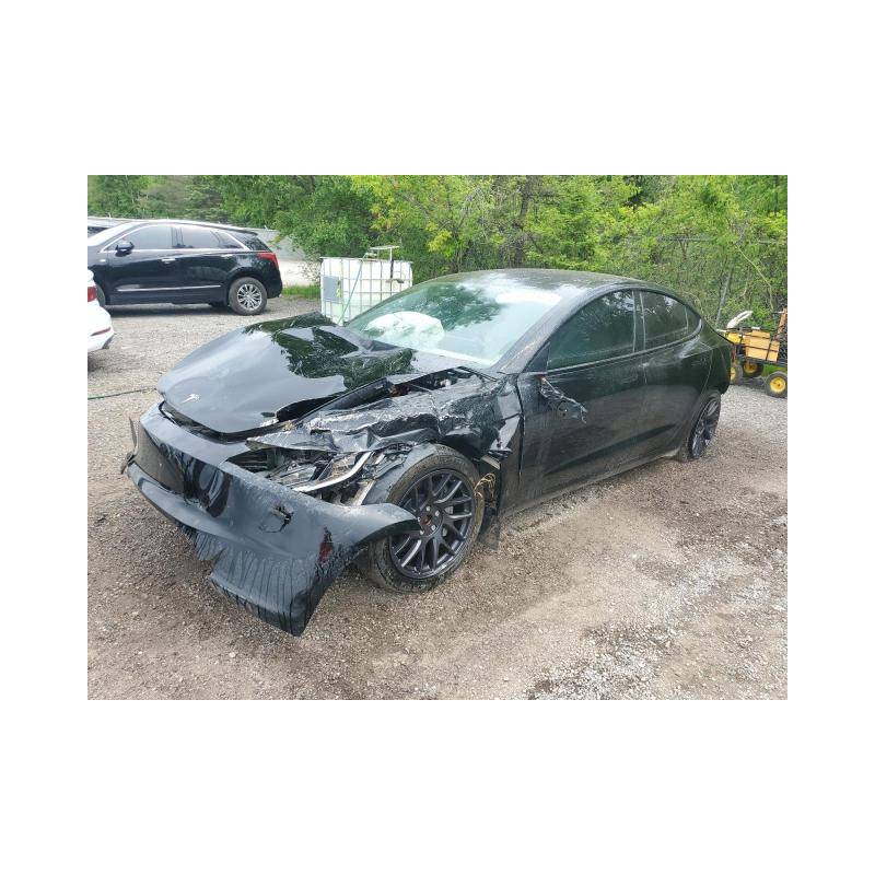 2025 TESLA MODEL 3 5YJ3E1EB6SF923974 57059495 2025 TESLA MODEL 3 5YJ3E1EB6SF923974 57059495