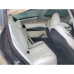2025 TESLA MODEL 3 5YJ3E1EB6SF923974 57059495