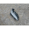 2025 TESLA MODEL 3 5YJ3E1EB6SF923974 57059495