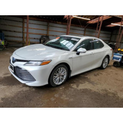 2020 TOYOTA CAMRY 4T1B21HK9LU015085 57449325