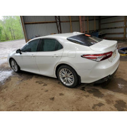 2020 TOYOTA CAMRY 4T1B21HK9LU015085 57449325