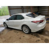 2020 TOYOTA CAMRY 4T1B21HK9LU015085 57449325