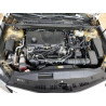 2020 TOYOTA CAMRY 4T1B21HK9LU015085 57449325