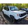 2021 JEEP RENEGADE ZACNJDC11MPN24897 58136175