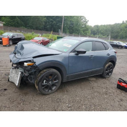 2025 MAZDA CX30 3MVDMBCM9SM800942 61013845