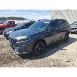 2023 HONDA CRV 5J6RS6H92PL004223 54180985