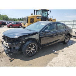 2023 TOYOTA CAMRY 4T1G11AK1PU770742 60551695
