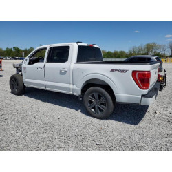 2023 FORD F-150 1FTEW1EP3PFA87254 56513795