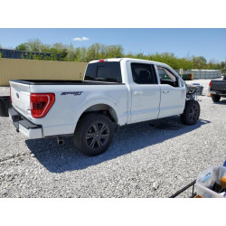 2023 FORD F-150 1FTEW1EP3PFA87254 56513795