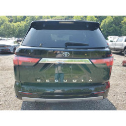 2023 TOYOTA SEQUOIA 7SVAAABA1PX001176 59739765