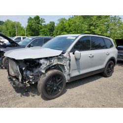 2024 KIA TELLURIDE 5XYP5DGC3RG440826 61051215