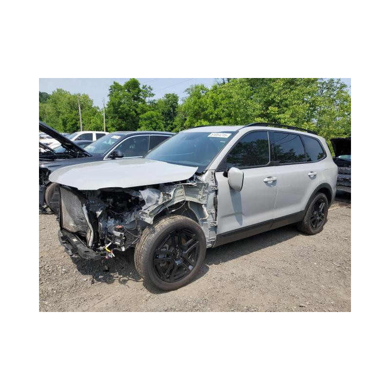 2024 KIA TELLURIDE 5XYP5DGC3RG440826 61051215 2024 KIA TELLURIDE 5XYP5DGC3RG440826 61051215