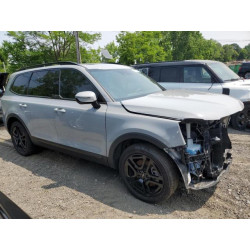 2024 KIA TELLURIDE 5XYP5DGC3RG440826 61051215