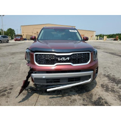 2023 KIA TELLURIDE 5XYP3DGC4PG384995 59015745