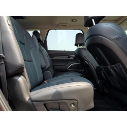 2023 KIA TELLURIDE 5XYP3DGC4PG384995 59015745