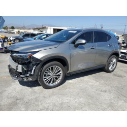 2025 LEXUS NX 350H BA 2T2GKCEZ3SC040255 61875955