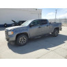 2021 GMC CANYON 1GTG6FEN7M1144309 53360825