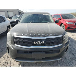 2022 KIA TELLURIDE 5XYP6DHC4NG239863 52819175