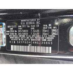 2022 KIA TELLURIDE 5XYP6DHC4NG239863 52819175