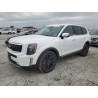 2022 KIA TELLURIDE 5XYP5DHC4NG246878 53705855