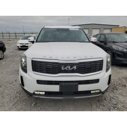 2022 KIA TELLURIDE 5XYP5DHC4NG246878 53705855
