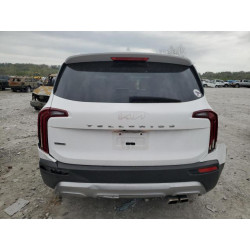 2022 KIA TELLURIDE 5XYP5DHC4NG246878 53705855