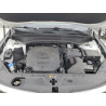 2022 KIA TELLURIDE 5XYP5DHC4NG246878 53705855