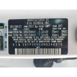 2022 KIA TELLURIDE 5XYP5DHC4NG246878 53705855