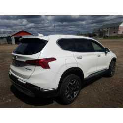 2022 HYUNDAI SANTA FE KM8S7DA24NU044736 56739455