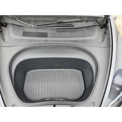 2025 TESLA MODEL 3 5YJ3E1EA9SF892355 52565545