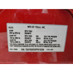 2023 TESLA MODEL Y 7SAYGDEE8PF810338 53232495