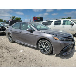 2024 TOYOTA CAMRY 4T1G31AKXRU066097 60786595